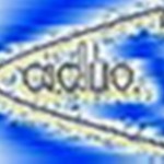logo C.A.DUO.jpg (43 KB)